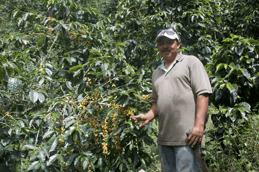 Honduras Los Ocotes
