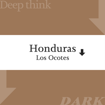 Honduras Los Ocotes【Deep Think / Dark】