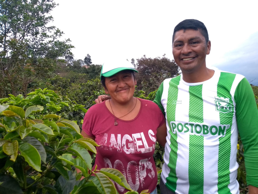 【NEW】Colombia Roblar