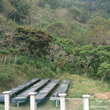 Load image into Gallery viewer, 【Limited】A:Honduras Los Pinos Washed