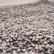 Load image into Gallery viewer, 【Limited】A:Honduras Los Pinos Washed