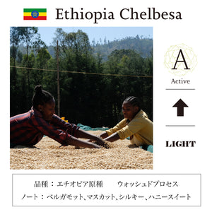 A：エチオピア チェルベサ　Ethiopia Chelbesa