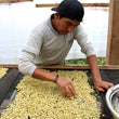 Load image into Gallery viewer, 【New!!】B:Peru Finca Cedruyoc / Medium Roast
