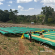 Load image into Gallery viewer, 【NEW】A：Ethiopia Sidamo Bombe
