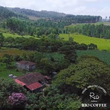Load image into Gallery viewer, 【NEW】B：Honduras Finca Las Botijas Pacamara Washed
