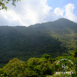 Load image into Gallery viewer, 【NEW】B：Honduras Juan Contreras Ethiopia Washed
