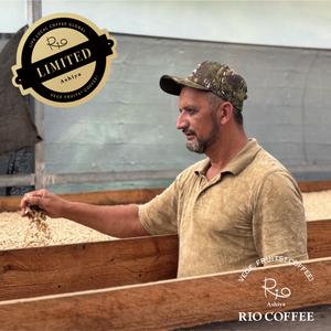 【限定復刻】Honduras Pino de Oro Pacamara natural