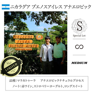 S：ニカラグア　ブエノスアイレス　アナエロビック　Nicaragua Buenos Aires AnaerobicNatural